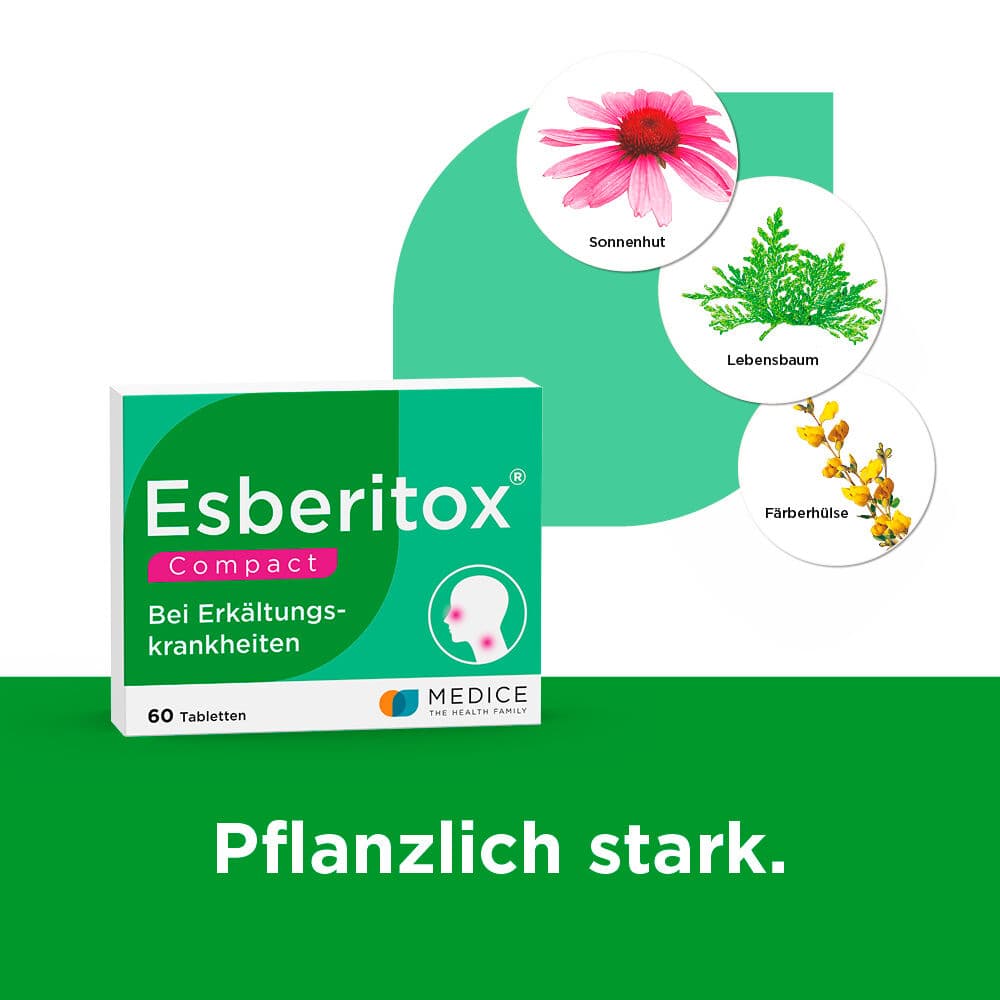 Esberitox COMPACT pflanzliches Arzneimittel bei Erkältung 60 Stück